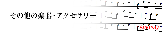 その他の楽器・アクセサリー